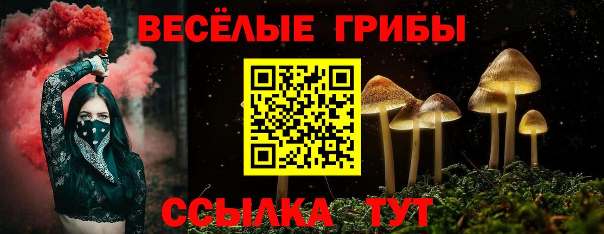 Галлюциногенные грибы Magic Shrooms Большой Камень